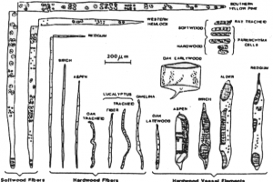 materiaprimabiomassa4